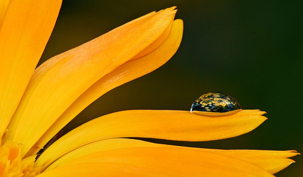 Photograph by Сергей