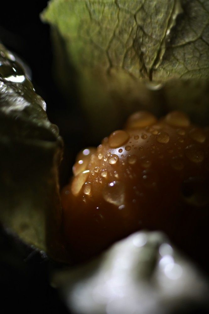 Photograph by Переверзева Татьяна