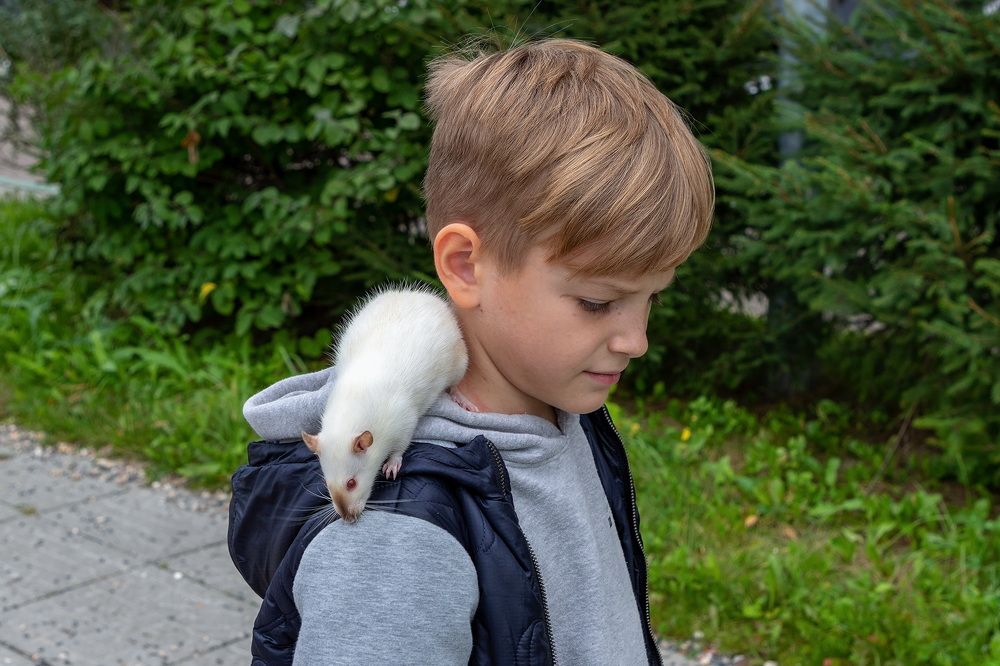 Photograph by Анатолий Чесноков