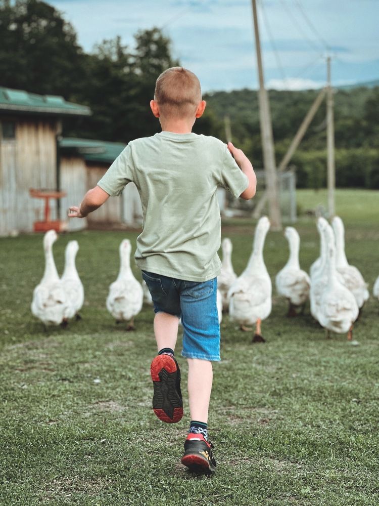 Photograph by Екатерина Анпилова