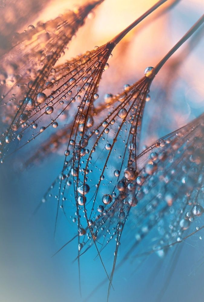 Photograph by Лапшина Владлена