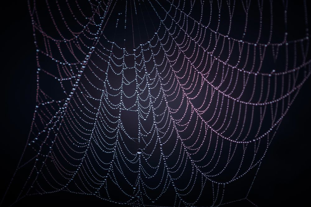 Photograph by Лапшина Владлена