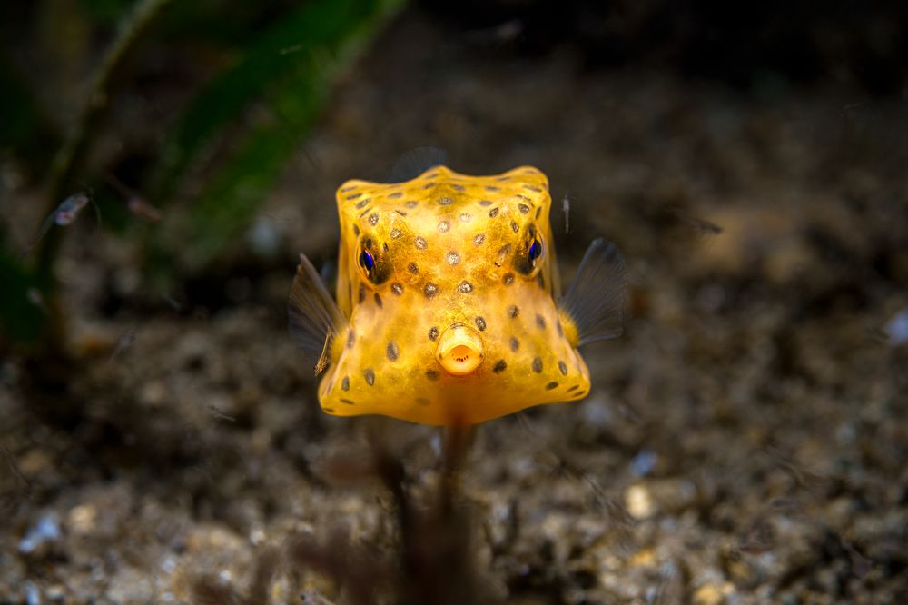 Photograph by Савин Андрей