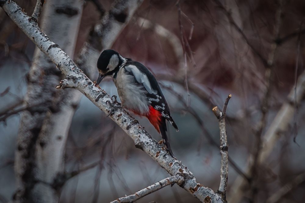 Photograph by Alex Dushutin