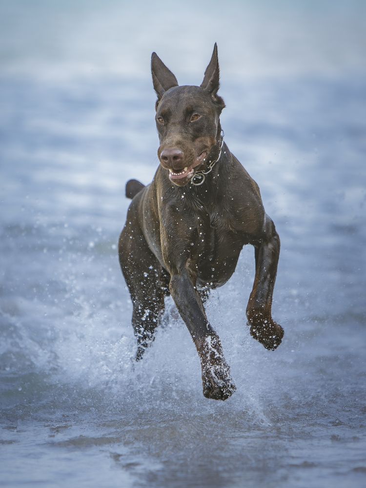 Photograph by Мария Клещенко