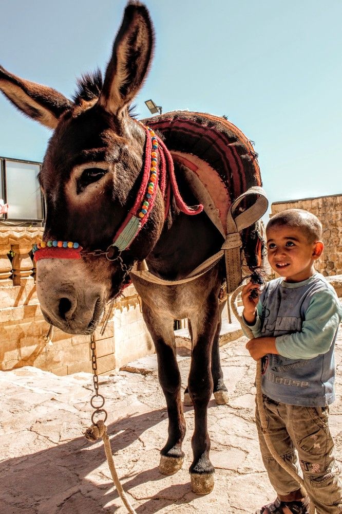 Photograph by volkan akan