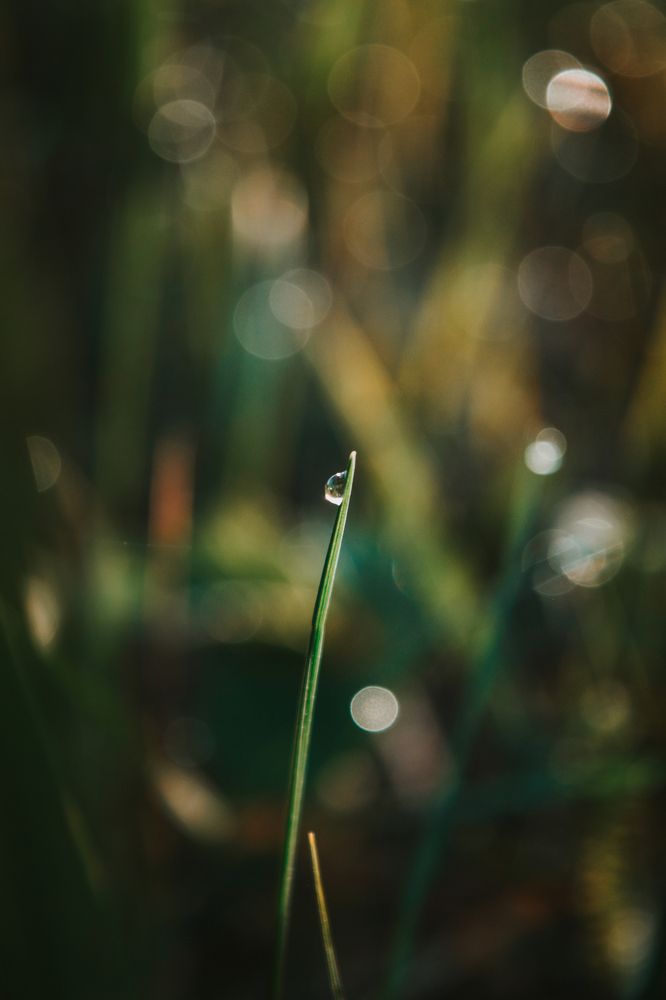 Photograph by Денис Мазычев