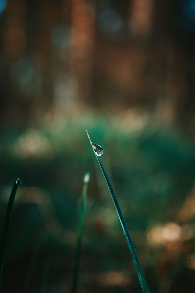 Photograph by Денис Мазычев