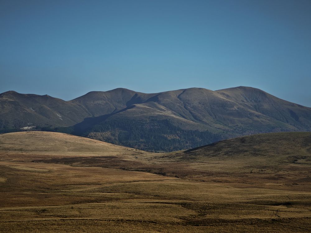 Photograph by Александра Шилова