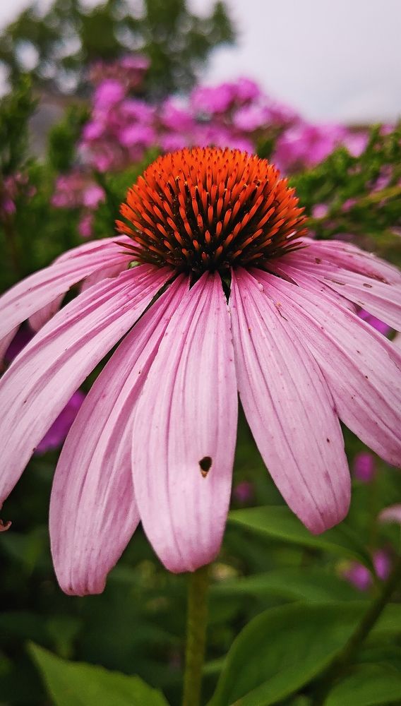 Photograph by Manan Raval