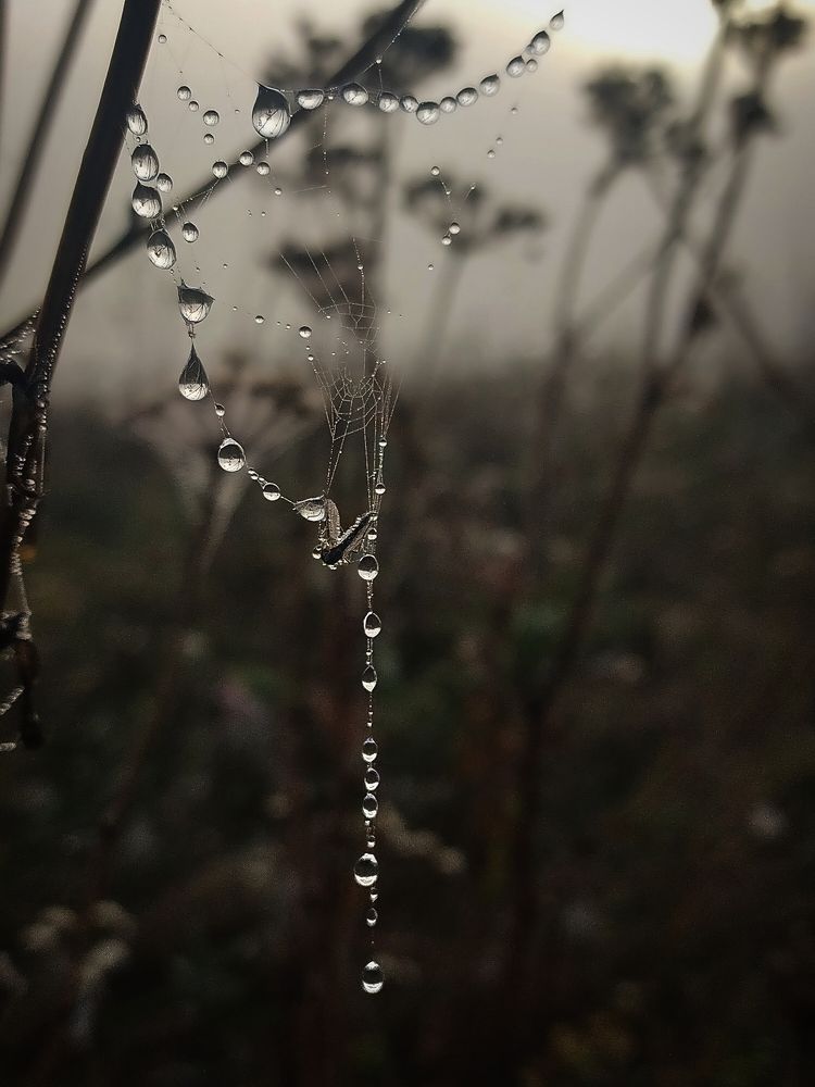 Photograph by Ольга Мартьянова