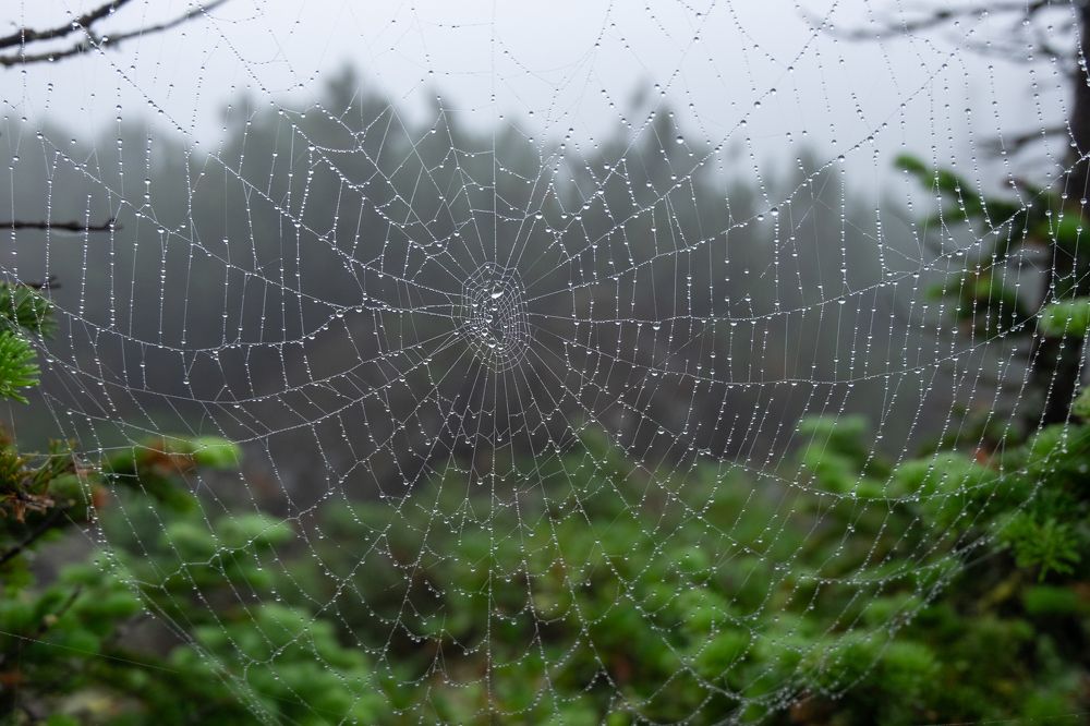 Фотография автора Андрей Ильков