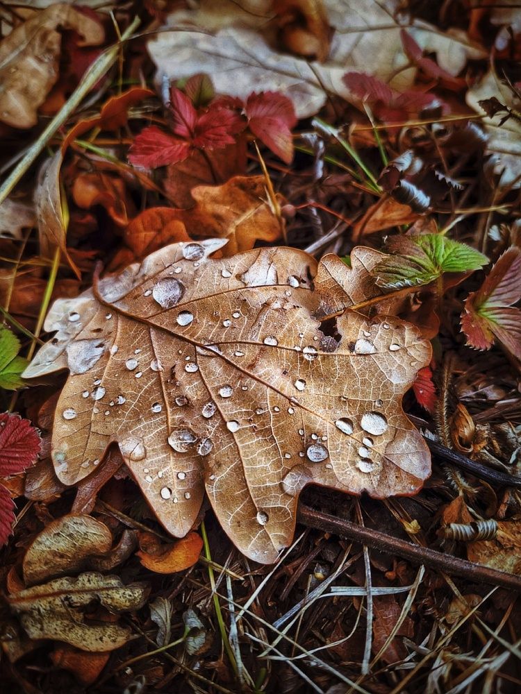 Photograph by Марина Мальцева