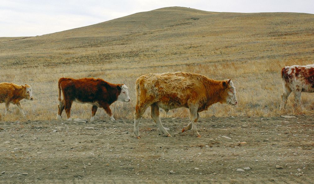 Photograph by Natalya