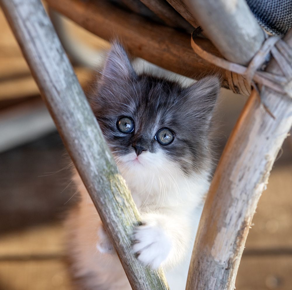 Фотография автора Inga Ivanova