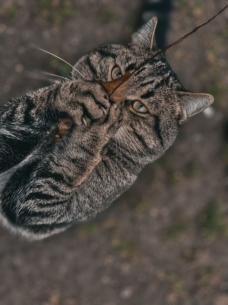 Photograph by Inna Belinskaya