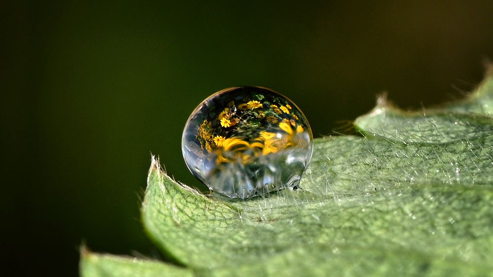 Photograph by Сергей