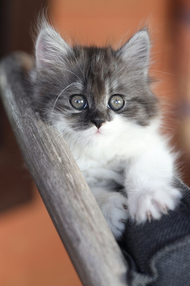 Фотография автора Inga Ivanova