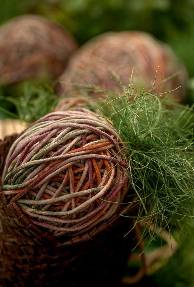 Photograph by Екатерина Каминская