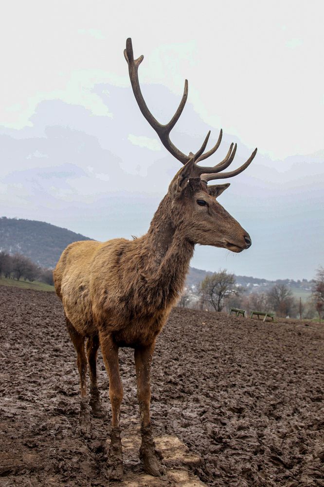 Photograph by Оксана Сафина