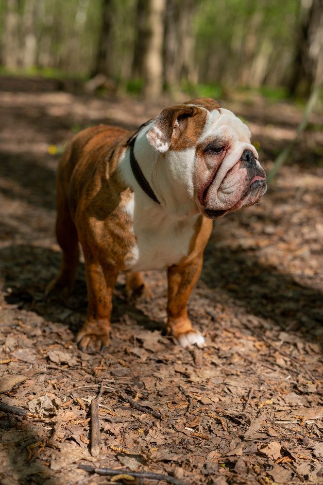 Photograph by Екатерина Каминская