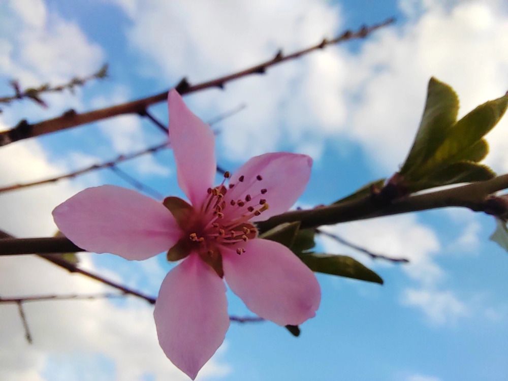 Photograph by Куделенко Оксана