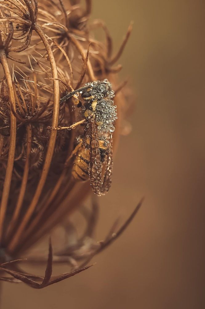 Photograph by Bányai Hajni
