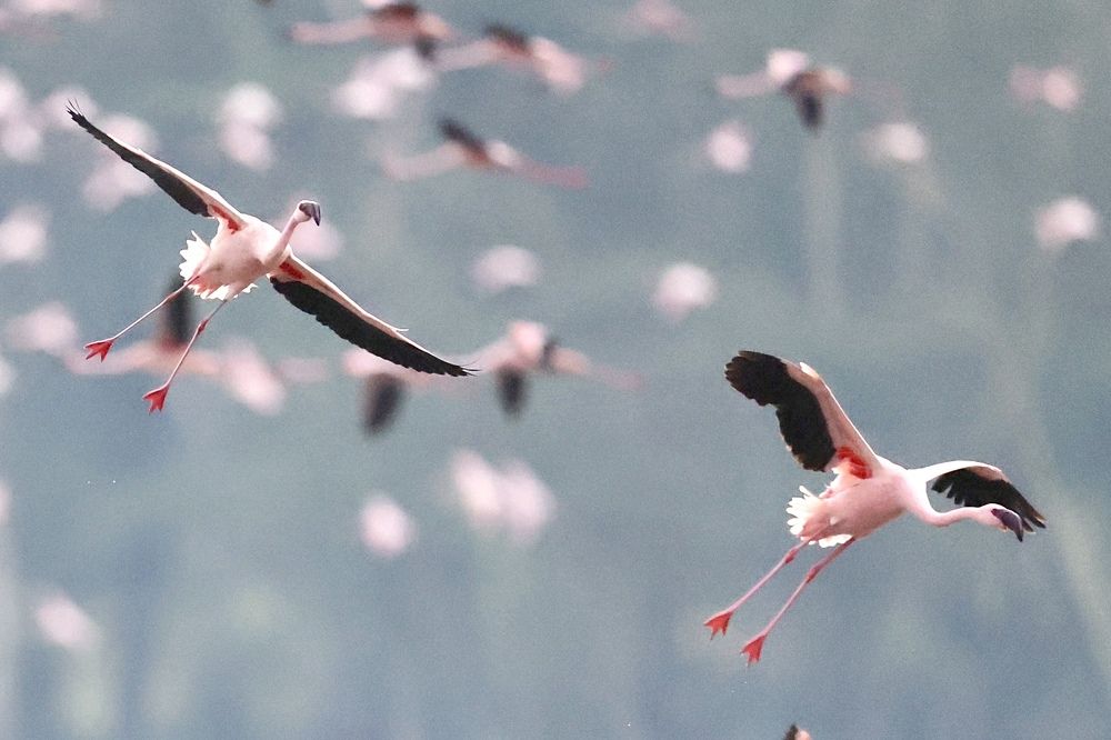 Photograph by Леонид Голубков