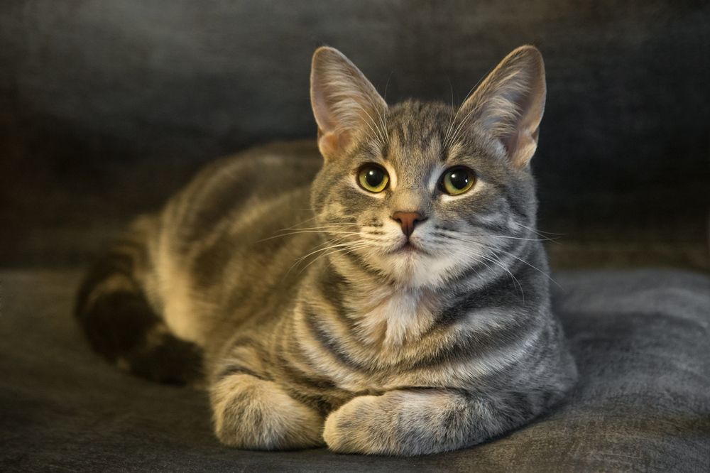 Photograph by Сергей Алексеев