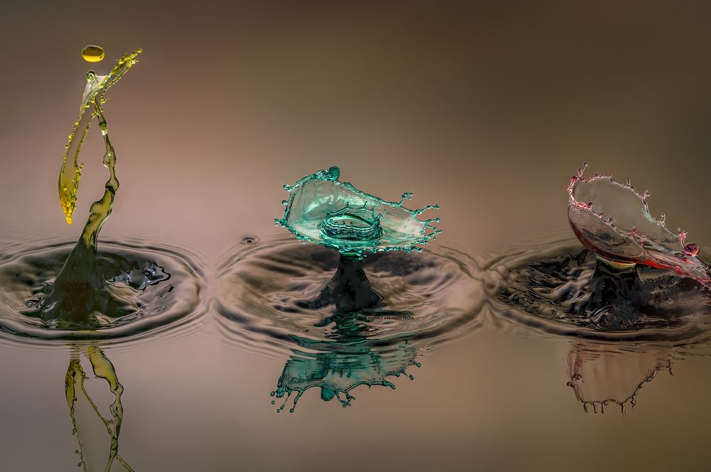 Photograph by Армашов-Тельник Григорий