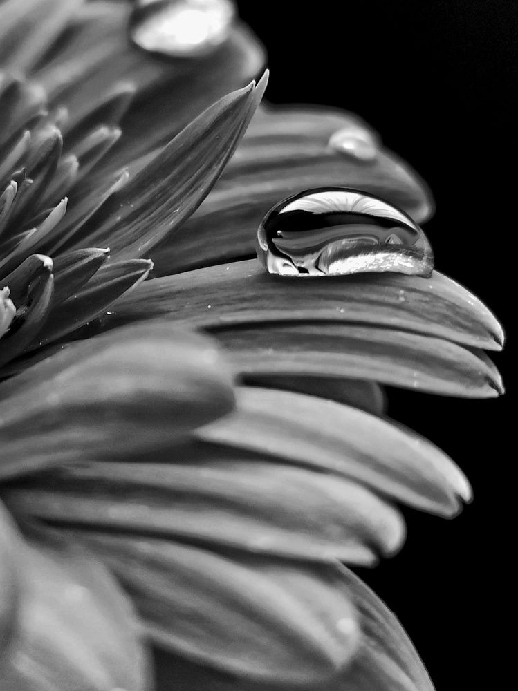 Photograph by Elena Novikova