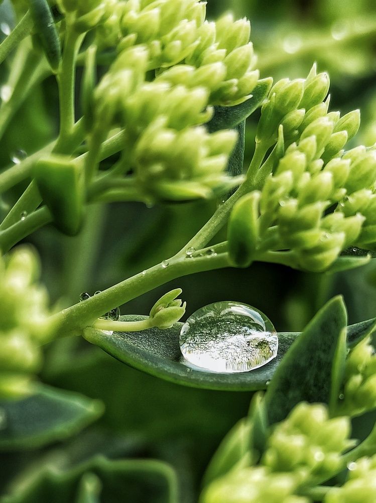 Photograph by Elena Novikova