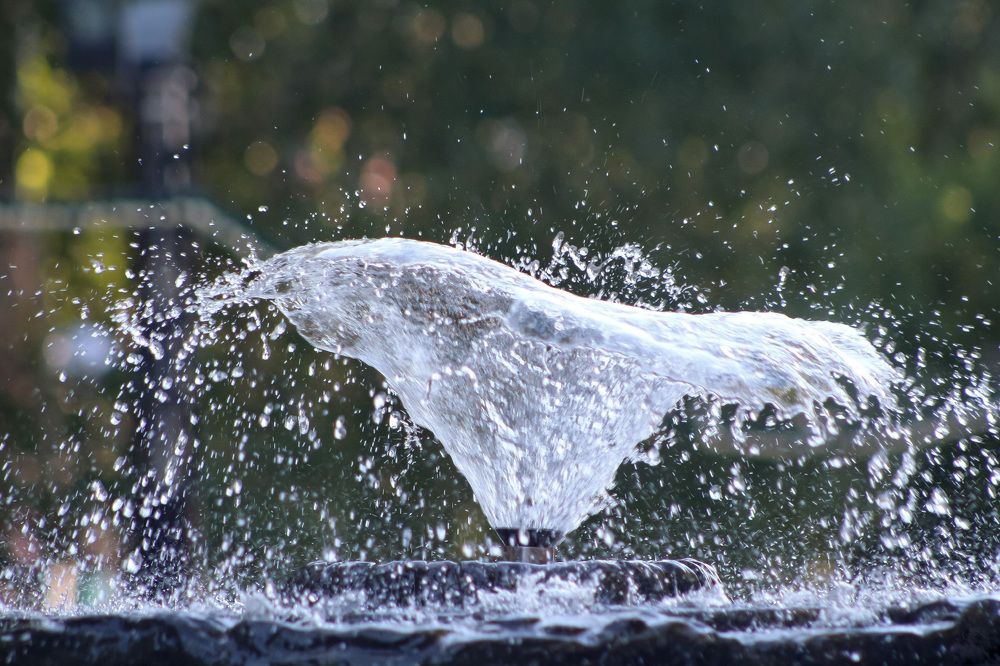 Photograph by Natasha Kim