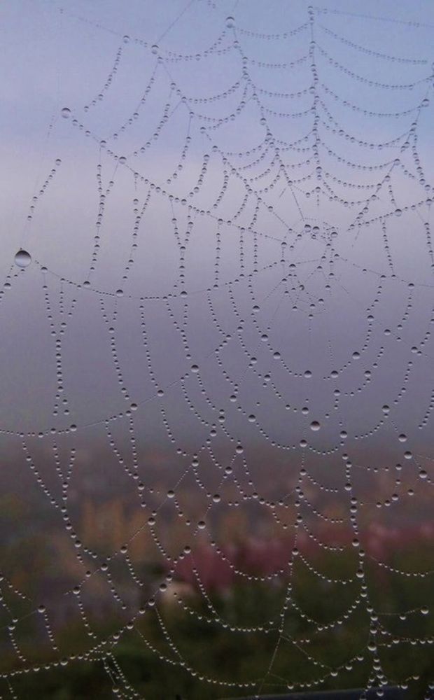 Photograph by Natasha Kim