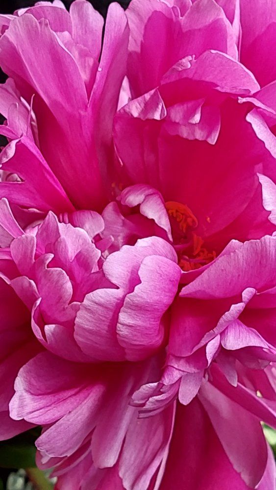 Photograph by Svitlana Usatenko