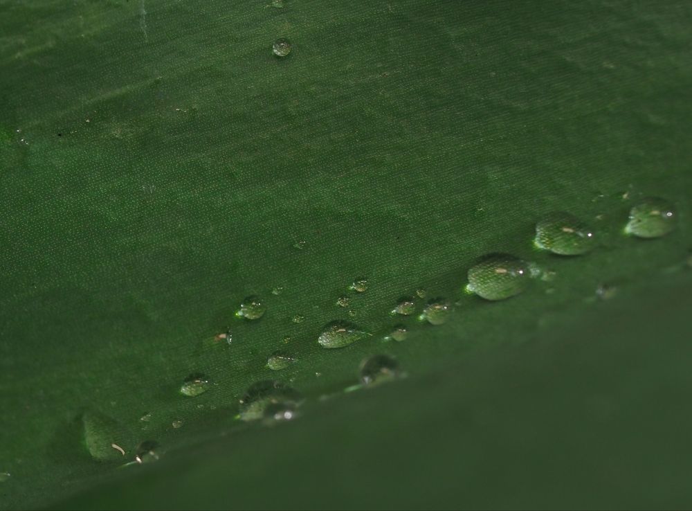 Photograph by Александра Шилова