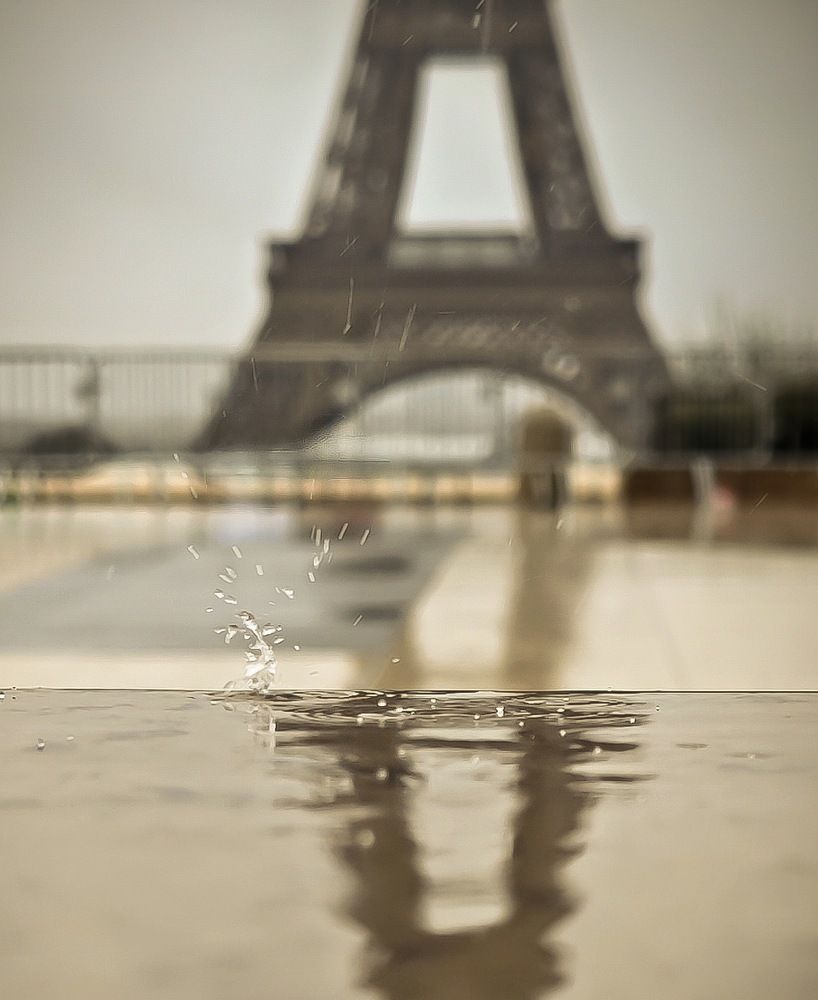 Photograph by Александра Шилова