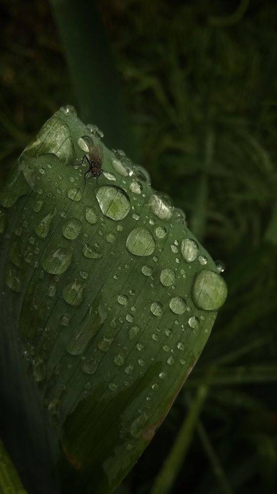 Photograph by Светлана Безъязычная