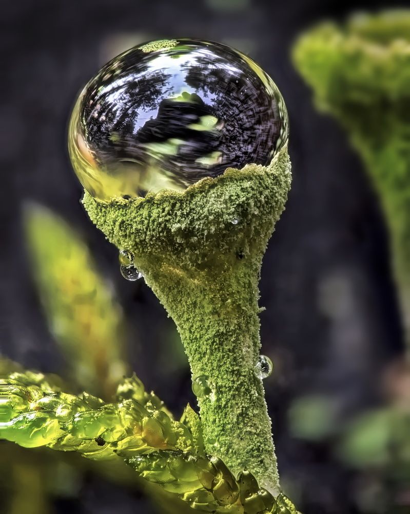 Photograph by Кузнецов Дмитрий