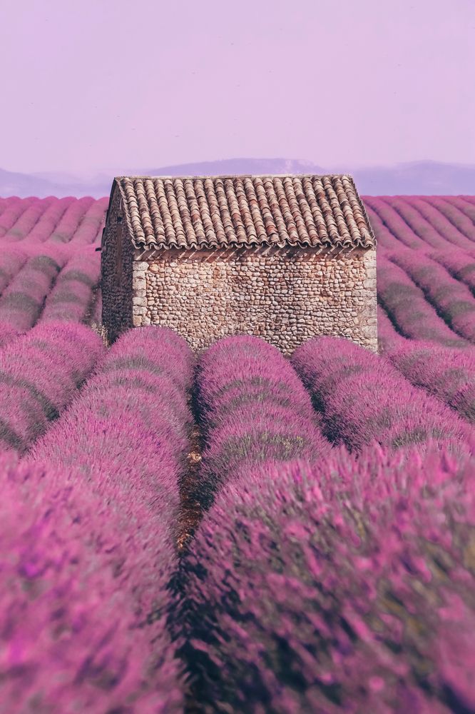 Photograph by Наталья Климова