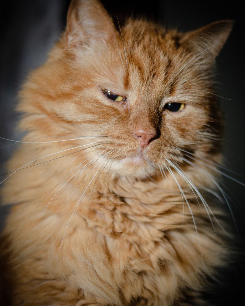 Photograph by Владимир Гончаров