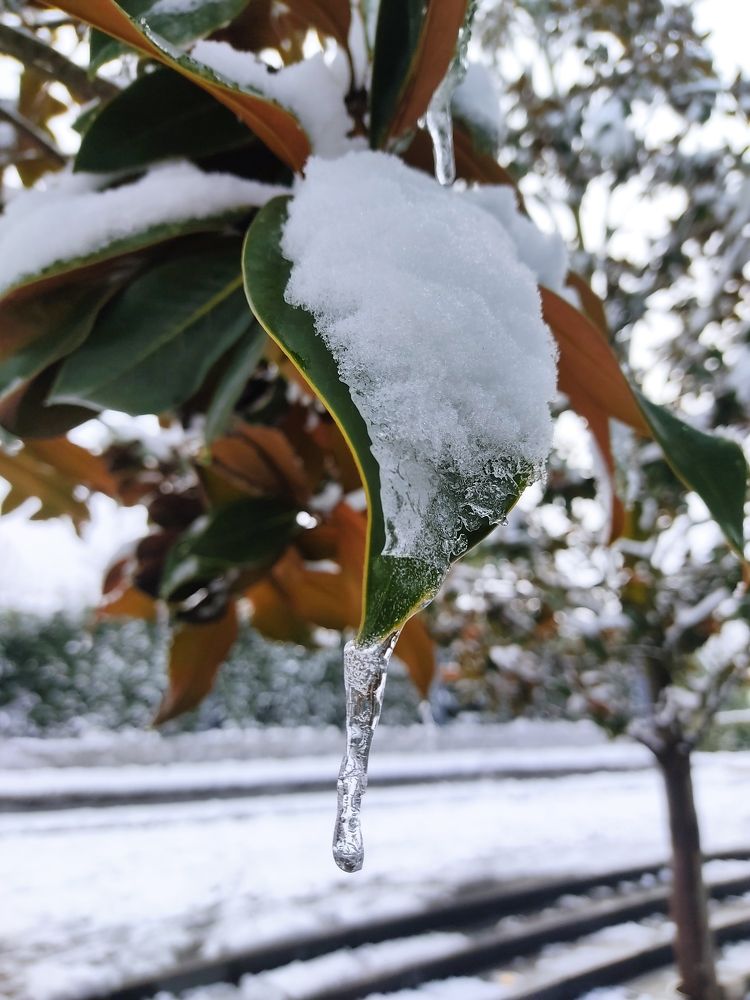 Photograph by Александра