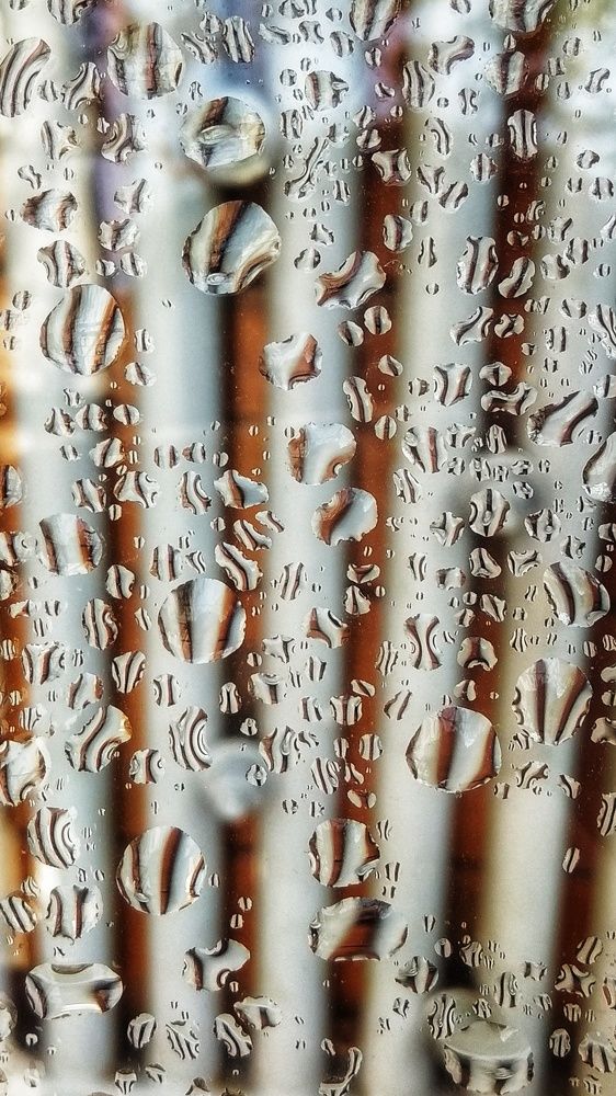 Photograph by Светлана Безъязычная