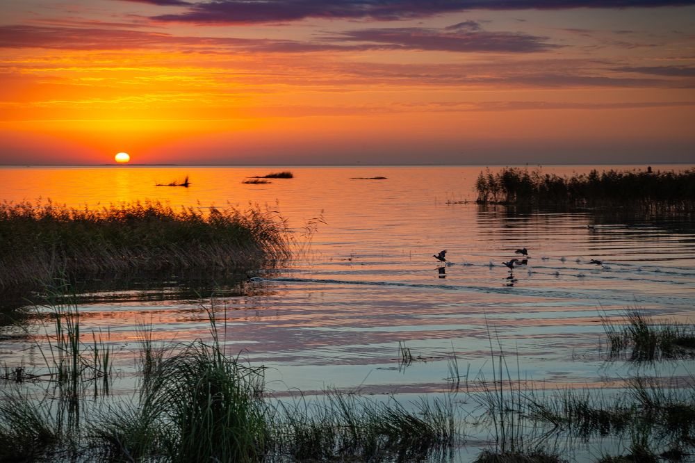 Photograph by Екатерина Родченкова