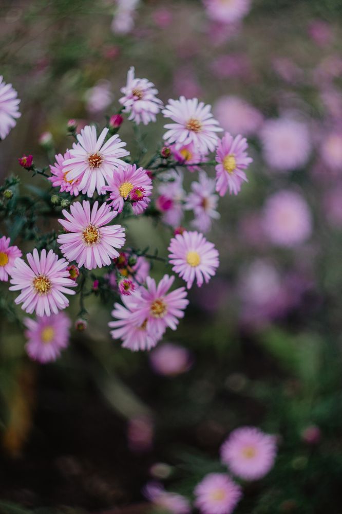 Photograph by Anna Dubinina