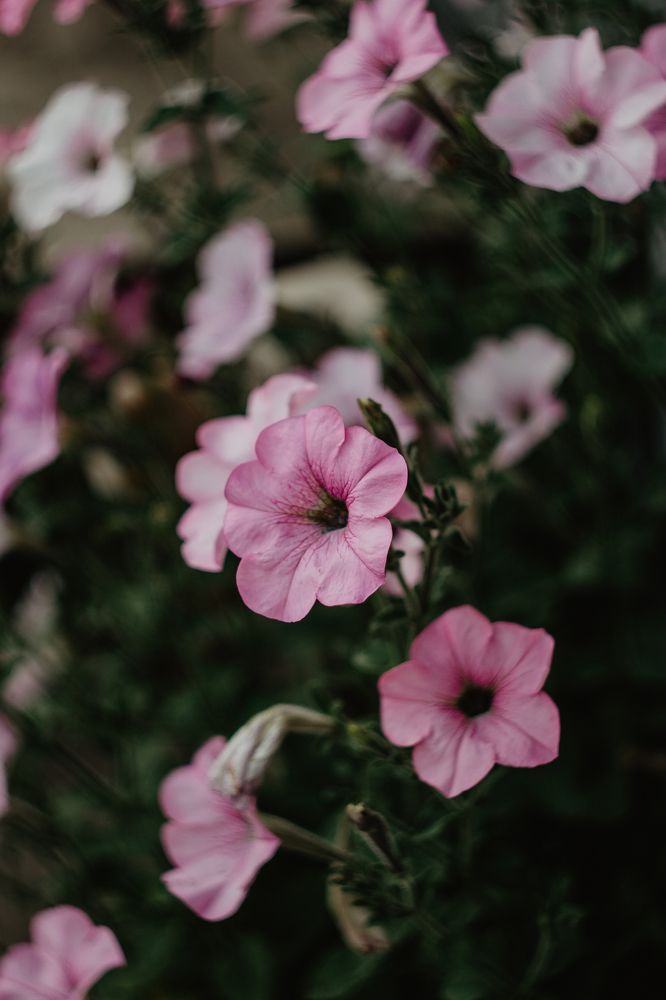 Photograph by Anna Dubinina