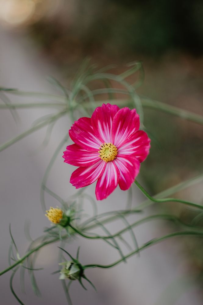 Photograph by Anna Dubinina