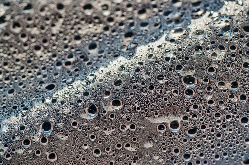 Photograph by Николай Захаров