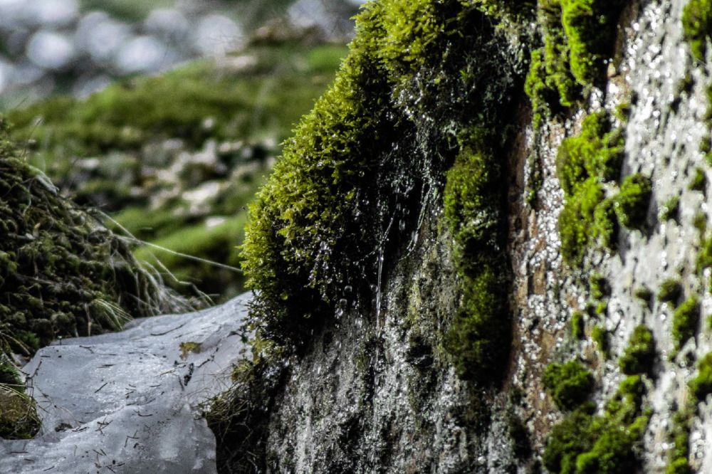 Фотография автора Fallen Angel