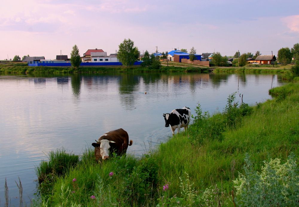 Фотография автора Nelya  Lysenko